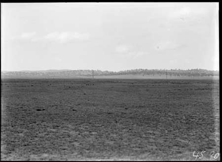 Unidentified landscape.