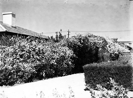 Picturesque driveway entrance to 72,74 Franklin Street,Forrest