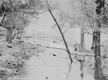 River scene,Negative cracked