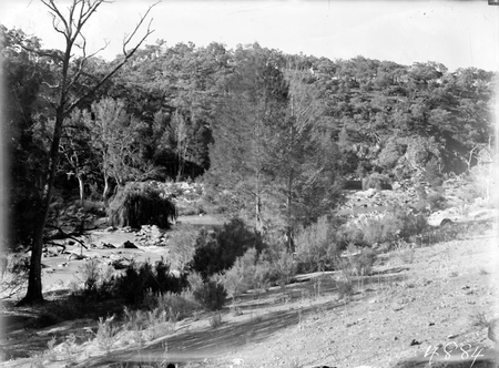 Murrumbidgee River downstream from Kambah pool.