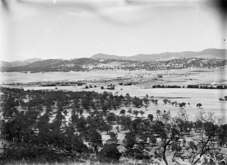 Kingston, Griffith and Red Hill from Mt Ainslie. Molonglo River through the centre.