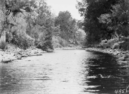 Murrumbidgee River near the Cotter Pump House.