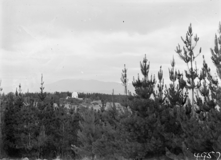 Mt. Stromlo pine plantation and the Yale Columbia Telescope of the Commonwealth Solar Observatory Mt. Stromlo.
