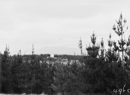 Mt. Stromlo pine plantation and the Yale Columbia Telescope of the Commonwealth Solar Observatory, Mt Stromlo.