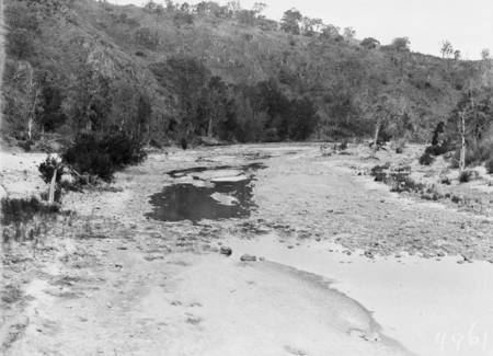 Murrumbidgee River during a drought and low river flows.