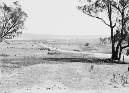  Duntroon Road now Fairbairn Avenue, Campbell, looking towards Civic Centre. Site of War Memorial to the right.