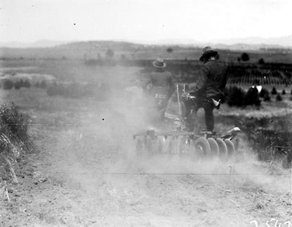 Crawler tractor towing tandem disc plough