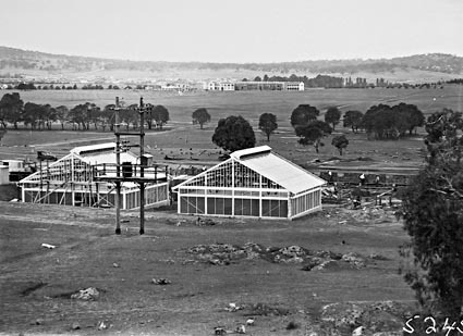  CSIR Insectarium and  building under construction, Clunies Ross Street, Black Mountain. Civic Centre buildings at the rear