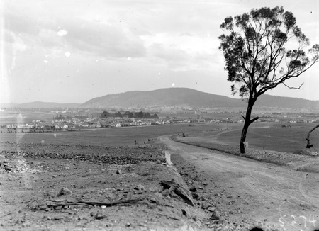 Fairbairn Avenue Campbell, looking towards Civic Centre. Black Mountain on the horizon