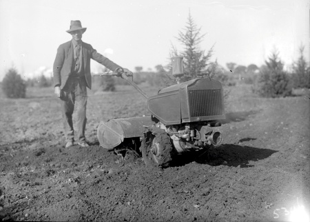 Workmen using rotary hoe in the gardens  near Parliament House