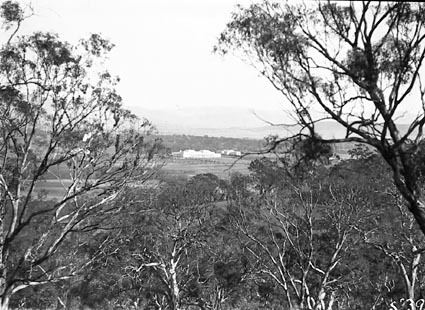 Distant view of Parliament House from Mt. Pleasant