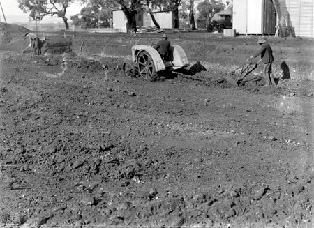 Australian Institute of Anatomy with Fordson tractor and a plough excavating the foundations, McCoy Circle, Acton
