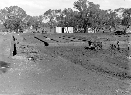 Institute of Anatomy with horse team and scoop excavating the foundations, McCoy Circle, Acton