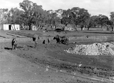 Australian Institute of Anatomy with horse teams and scoops excavating the foundations, McCoy Circle, Acton
