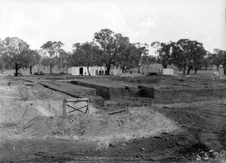 Australian Institute of Anatomy Foundations, McCoy Circle, Acton