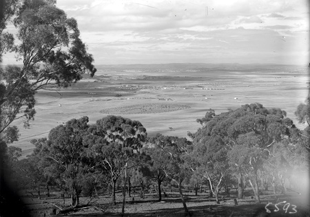 View from Red Hill over Collins Park,  Manuka and Kingston to Duntroon