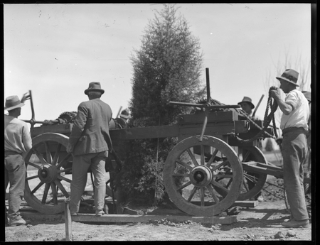 Mobile tree planting windlass and wagon with workmen at Parliamentary Gardens. Beginning of Senate gardens pine hedge.