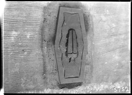 Decorative Entomology plaque on the outer walls of the CSIR Laboratory Building, Clunies Ross Street, Black Mountain,