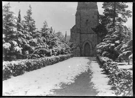 Trees at entrance to Sir John's Church, Reid under snow.