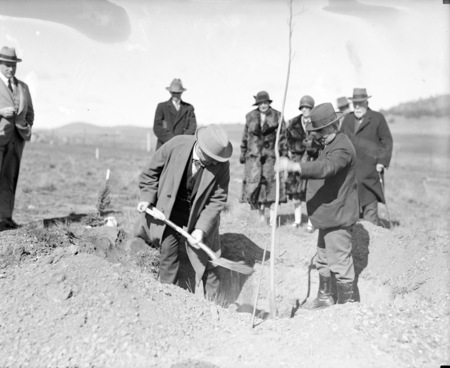 Tree planting ceremony by members of the Institute of Accountants.