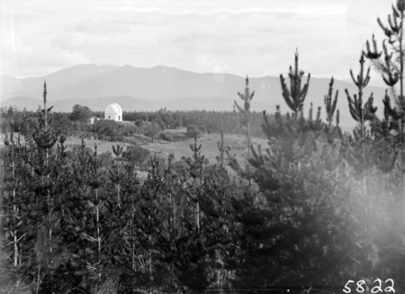 Pine Plantation, Mt Stromlo, with thirty inch Reynolds Telescope in background.