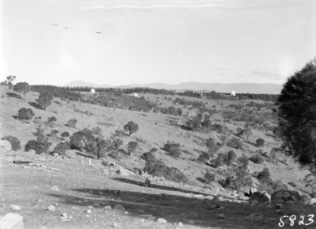Mt Stromlo hillside, with Observatory Telescopes and pine forrests in background.