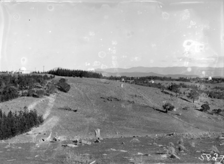 Mt Stromlo hillside, with Observatory Telescopes and pine forests in background.