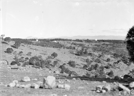 Mt Stromlo hillside, with Observatory Telescopes and pine forests in background.