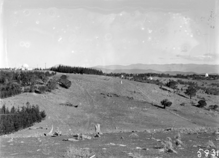 Mt Stromlo hillside, with Observatory Telescopes and pine forests in background.