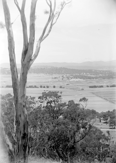 View from Mt Ainslie showing Anzac Park Parliament House, East Block, West Block, Forrest and camps
