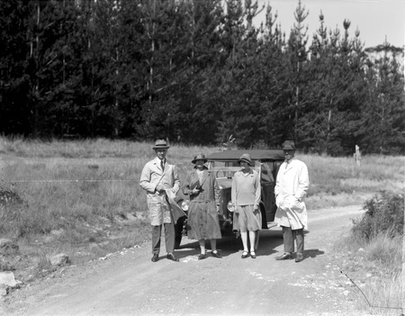 Pine plantations and motor car at Mount Stromlo