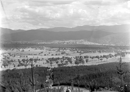 Pine plantations - Mount Stromlo, looking south to the Brindabellas