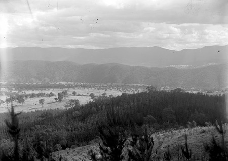 Pine plantations - Mount Stromlo, looking west to the Brindabellas