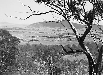 Braddon, Civic Centre, Hotel Ainslie  from Mount Ainslie
