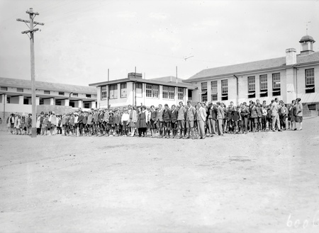 Assembly of pupils at Telopea Park School, New South Wales Crescent, Barton
