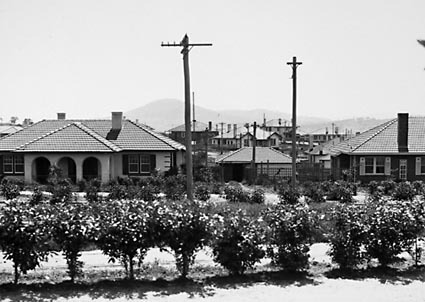 FCC cottages,Low voltage power lines and telephone lines in Barkly Crescent,  Forrest