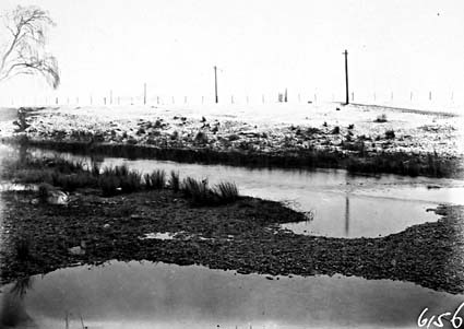 Heavy snow fall on the banks of the Molonglo River