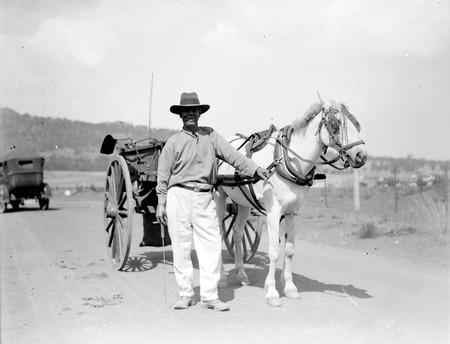 Horse and jinker with driver