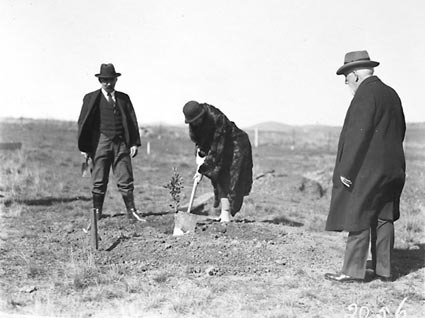 Tree planting ceremony by members of the Institute of Accountants