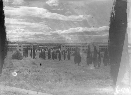Roman cypress trees on City Hill. Melbourne and Sydney Buildings, Civic Centre with Northbourne Avenue between.