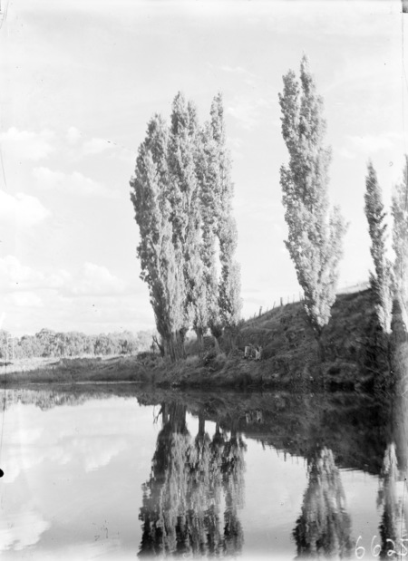 Unidentified river landscape.