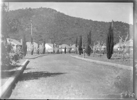 Houses in Reid, Mount Ainslie behind.