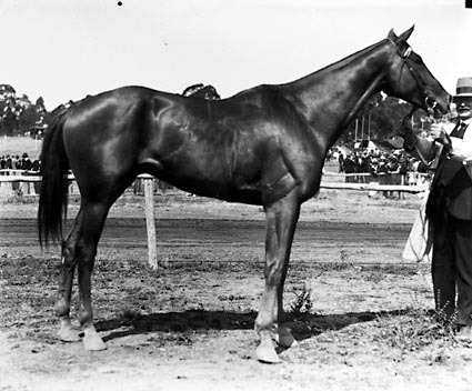 Racehorse, Green Boy,  at the Acton race meeting