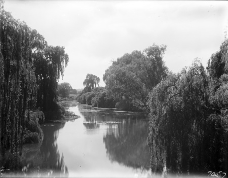 Molonglo River downstream from the swimming pool.