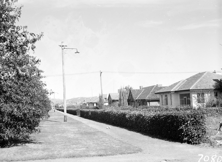 Houses in Torrens Street, Braddon.