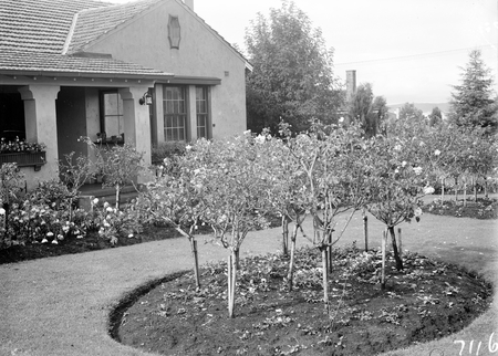 House and garden built for J A Carrodus, Secretary of Dept. of Interior, 59 Dominion Circuit, Forrest. Noted for its rose garden.
