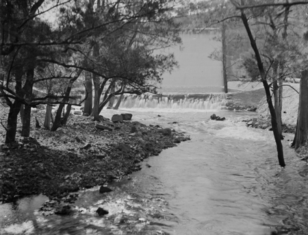 Cotter River below the dam wall.