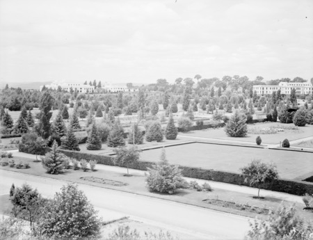 Parliament House and West Block from Albert Hall, showing well developing landscape.
