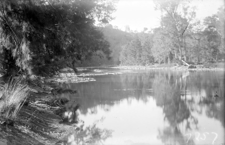 Murrumbidgee River scene.