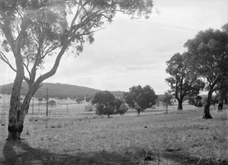 Unidentified landscape
